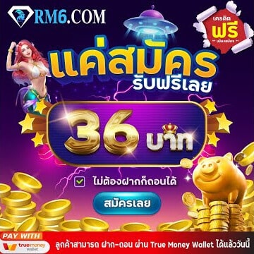 rm6 - 
